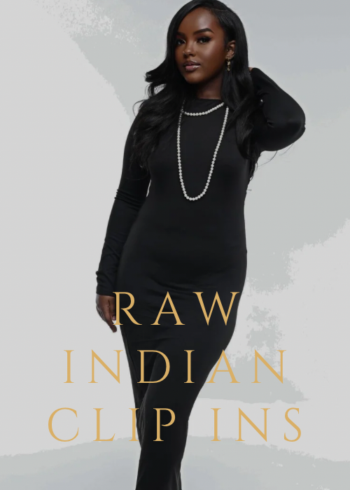 RAW Indian Clip Ins